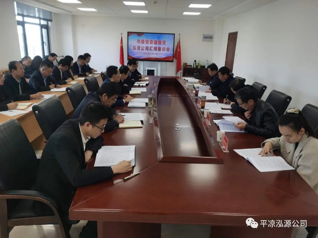 市委辦公室、市政府國資委督查泓源公司工作(圖4)