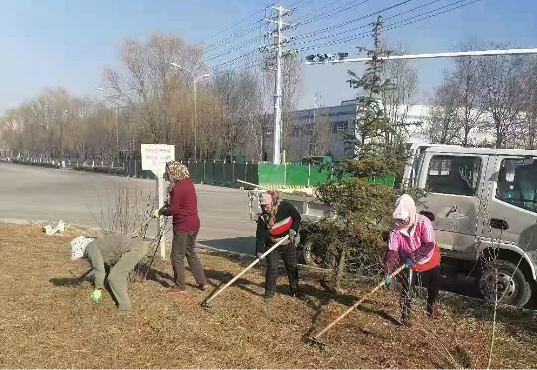 泓源綠化公司多措并舉做好春季綠化養護(圖1)