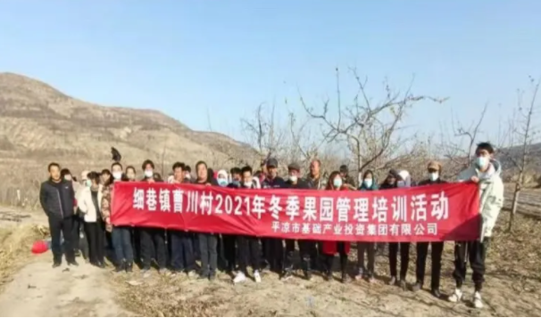 市產(chǎn)投集團在靜寧幫扶村開(kāi)展冬季果園管理培訓(圖3)