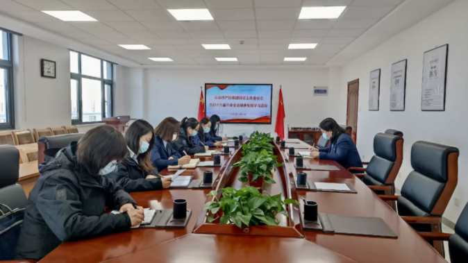 市產(chǎn)投集團婦委會(huì )組織傳達學(xué)習黨的十九屆六中全會(huì )精神(圖1)